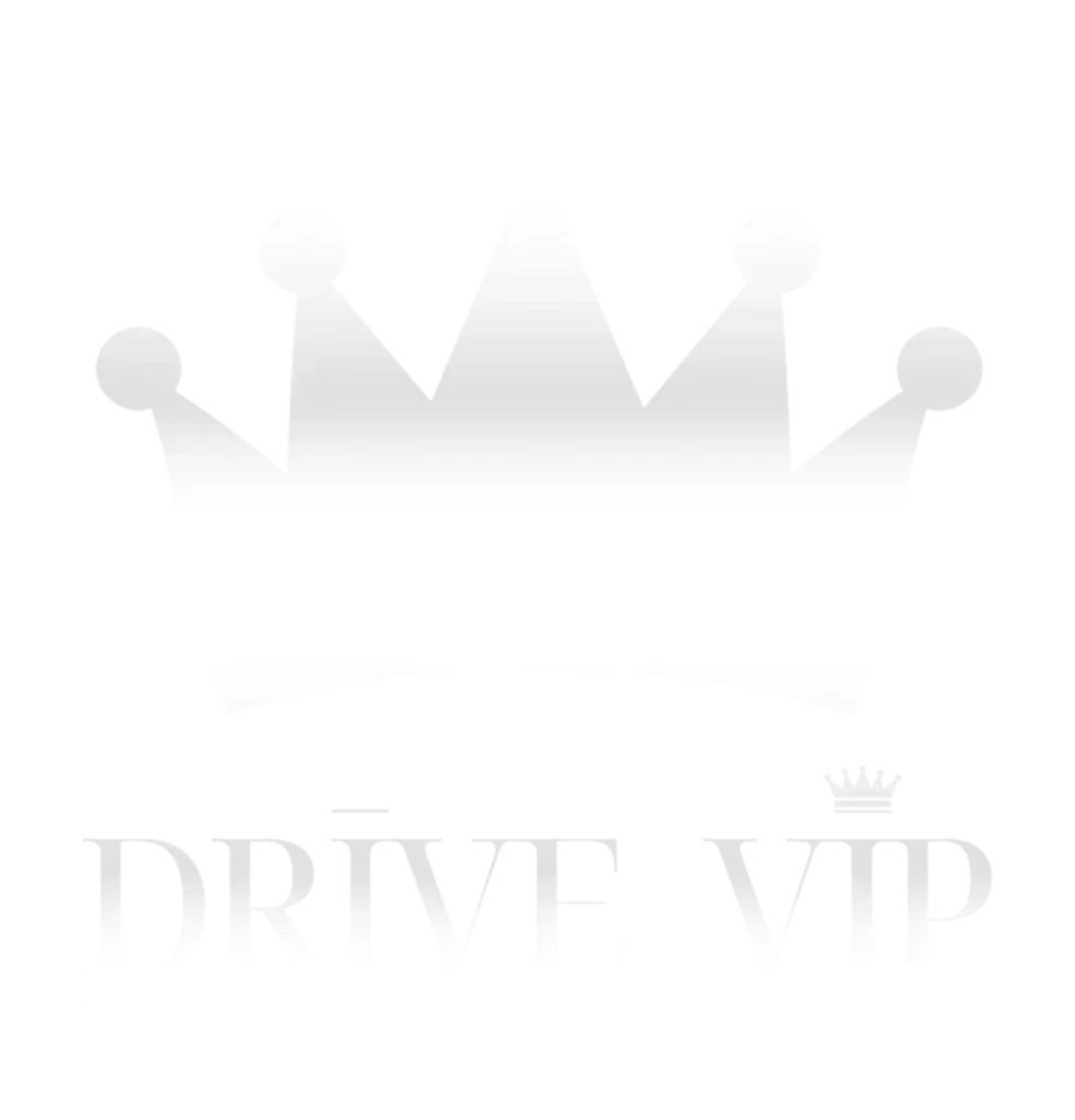 logodrivevip advanced
