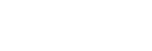 logo chauffeur privé drive vip